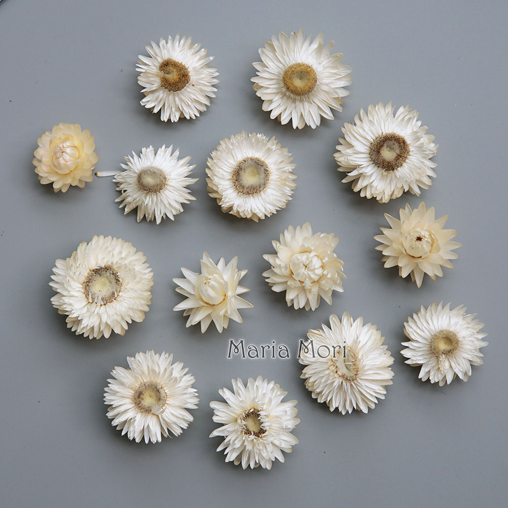 Holiday Candle Set - 天然のドライでカラフルな菊の花輪,手作りのヘアアクセサリー,樹脂製品,アロマテラピーキャンドル