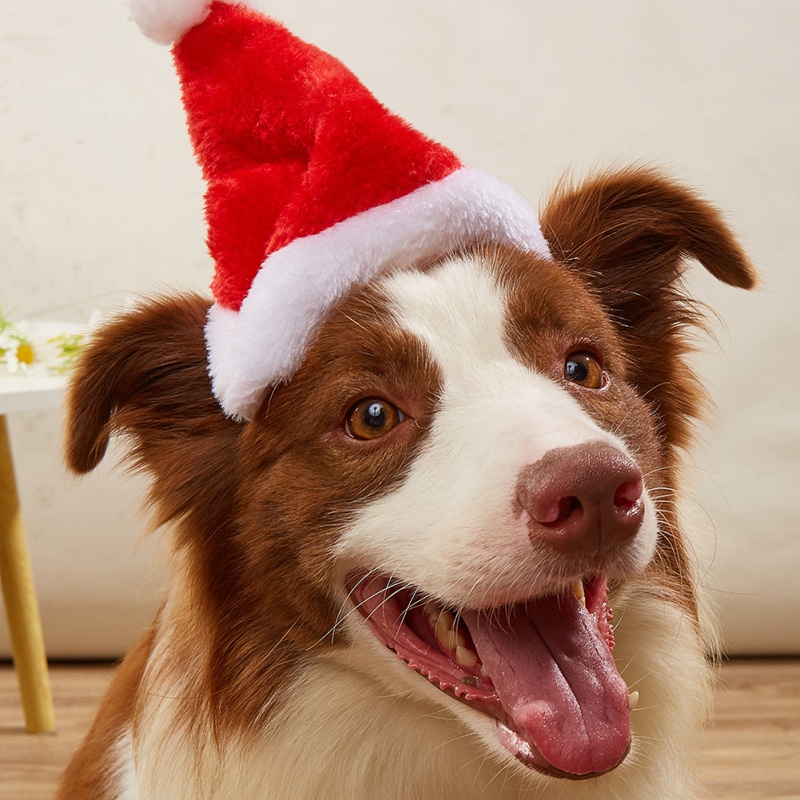 Santa Hat Plush - 犬猫用帽子 クリスマス飾り 洗濯機洗い可能 レッド クリスマス ペット用ぬいぐるみサンタ帽子