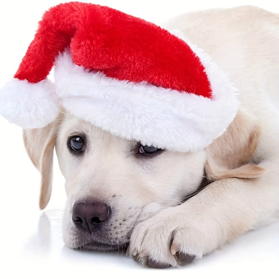 Santa Hat Plush - 1-10個入り 高級ソフトプラッシュ クリスマスペット帽子 新しいサンタキャップ 猫 犬用