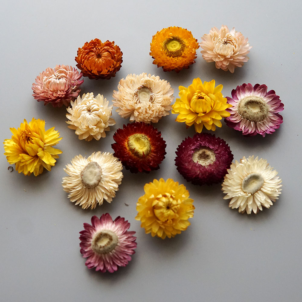 天然のドライでカラフルな菊の花輪,手作りのヘアアクセサリー, - Holiday Candle Set のレビューと価格