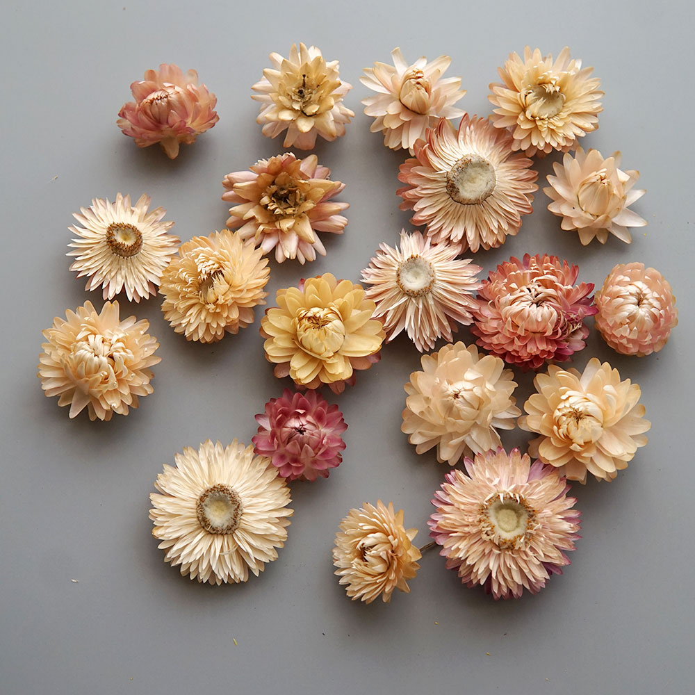 天然のドライでカラフルな菊の花輪,手作りのヘアアクセサリー, - Holiday Candle Set のレビューと価格
